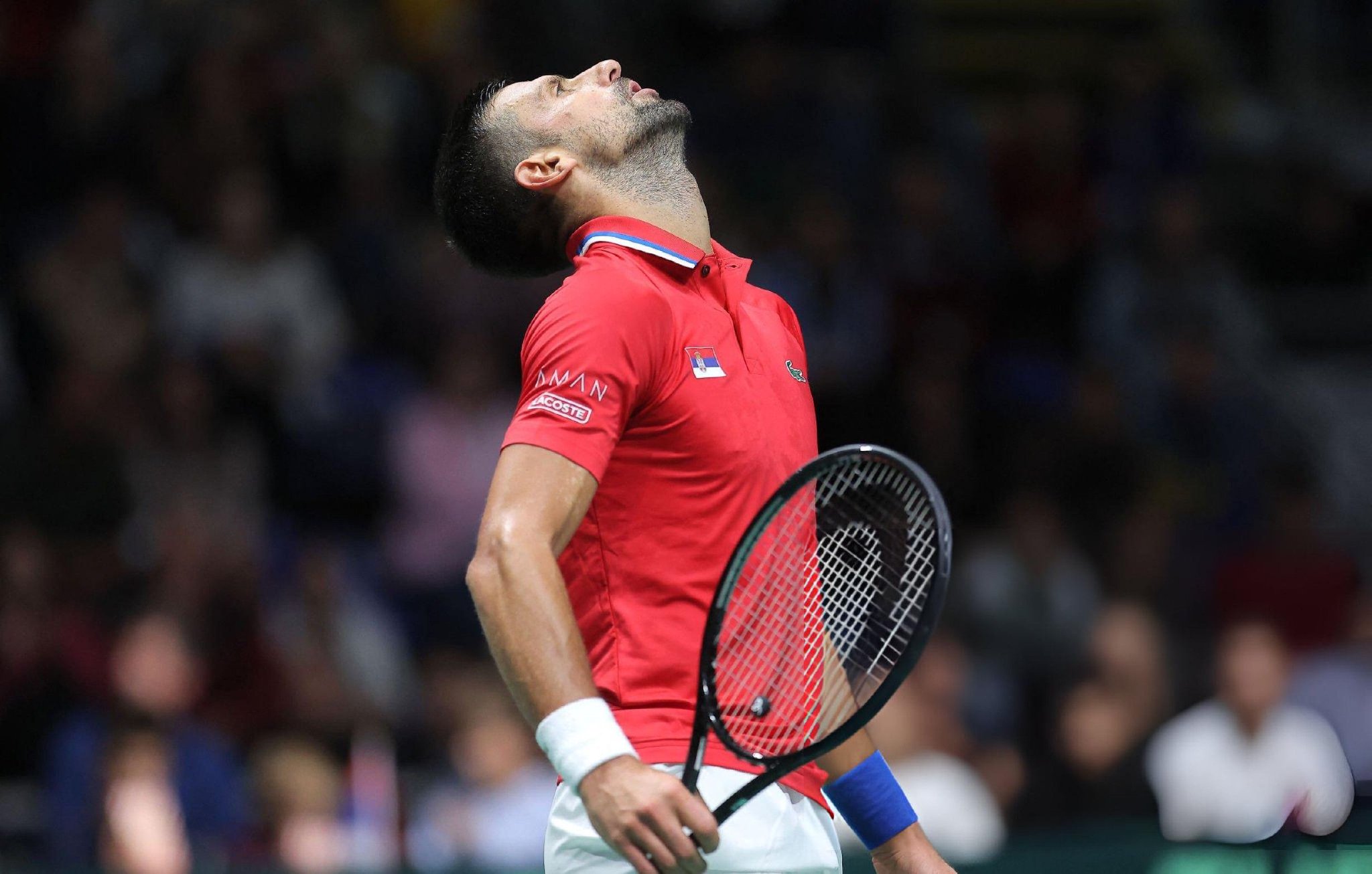 澳网力克戴维斯杯,德约科维奇统治全场 澳网力克戴维斯杯,德约科维奇统治全场