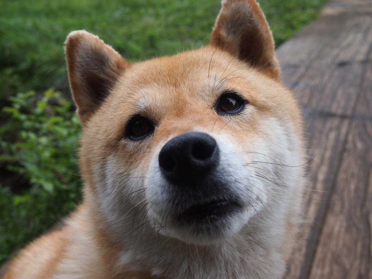 星火燎原,王皓绝境之击点亮赛场,中国队险胜奥地利队