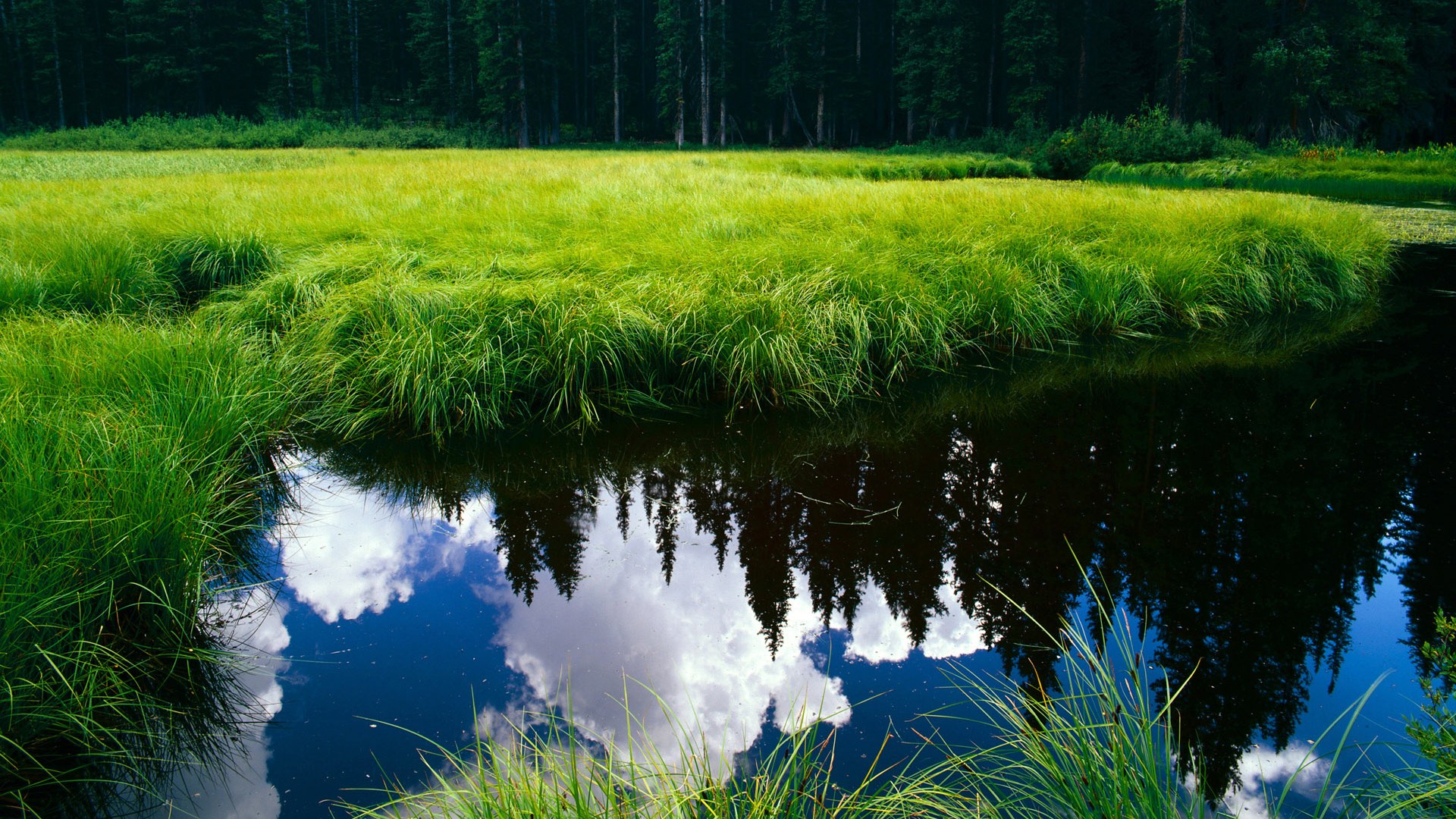 竞技场上的定律，英格兰险胜与苏亚雷斯的火焰