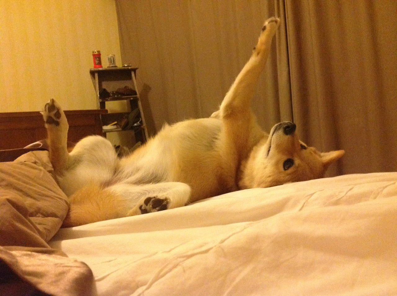 神来之笔！阿什拉夫独造2球成关键先生，突尼斯绝地反击逼平利物浦