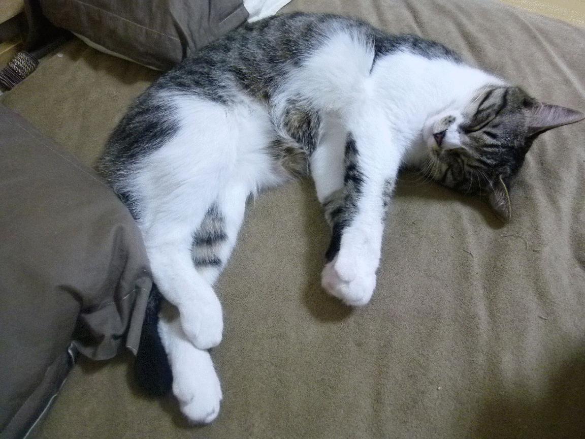 逆风执剑,莫兰特用40+诠释骑士精神的新定义