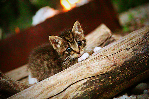 扩展思维后的文章标题（三个备选）