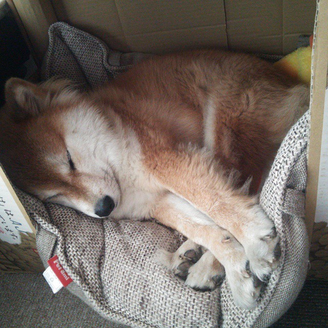 戟指钱塘，当马刺的寒芒刺穿江南水幕，美加墨的雷暴正从天而降