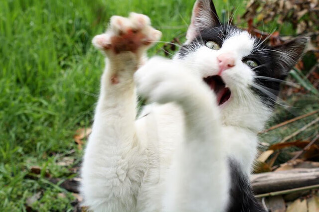 虚构跨联盟之战,伦纳德42分导演逆转,魔术加时险胜吉林