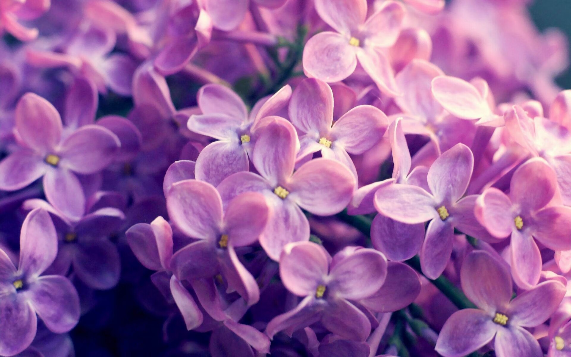 休斯敦的加冕礼,乔治在燃烧的灰烬中定义何为守护