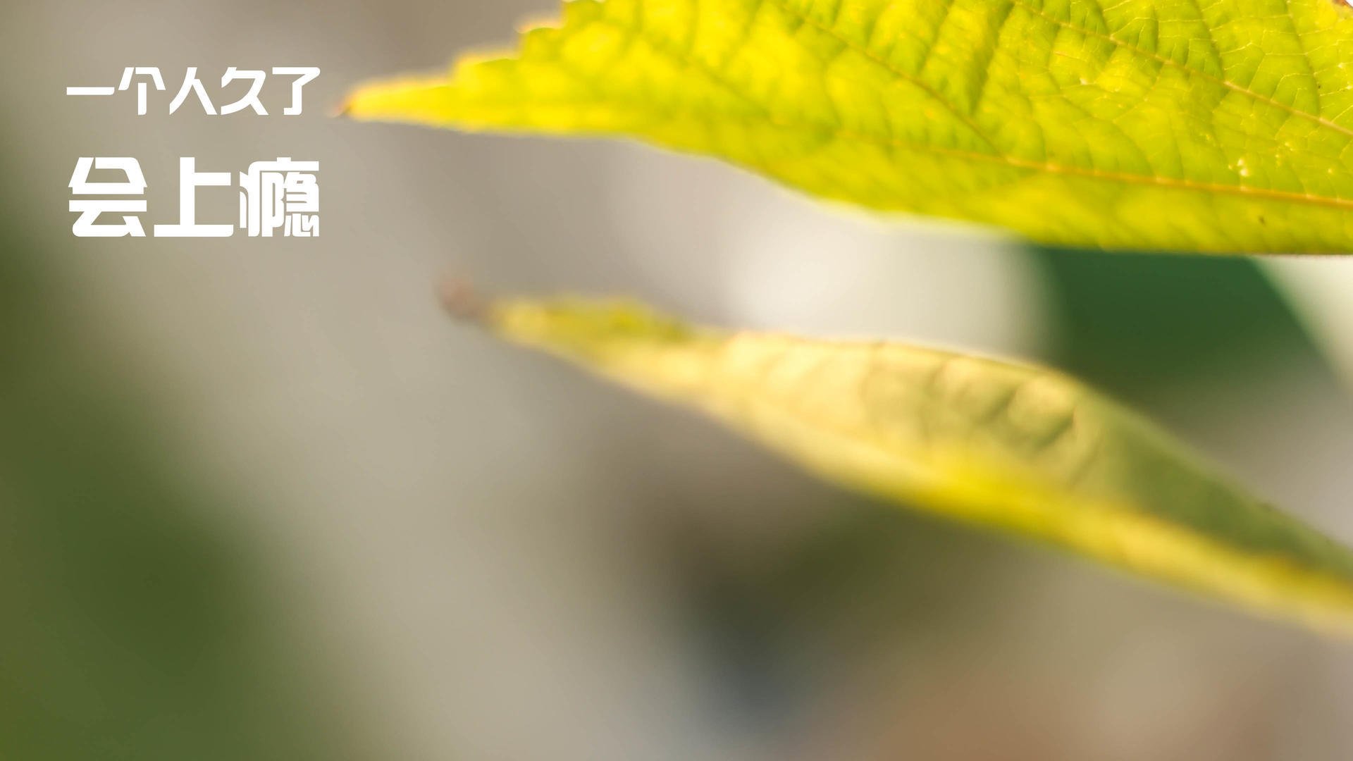 德甲争冠夜,萨卡的证明之战