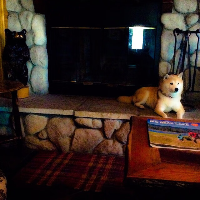 群星之上，唯一的恒星，詹姆斯总决赛之夜的无解统治