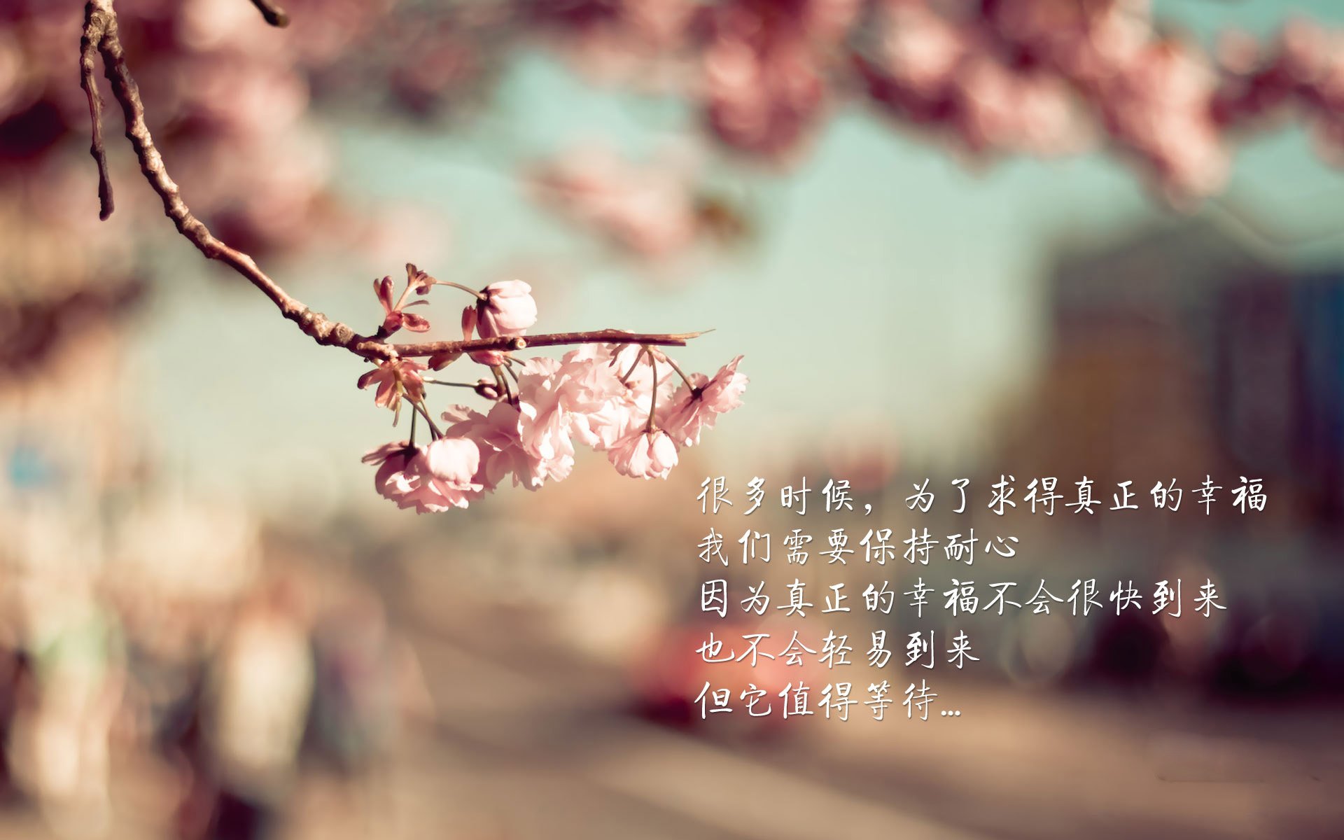 欧冠淘汰赛之夜，哈利伯顿，他是指挥官还是独裁者？