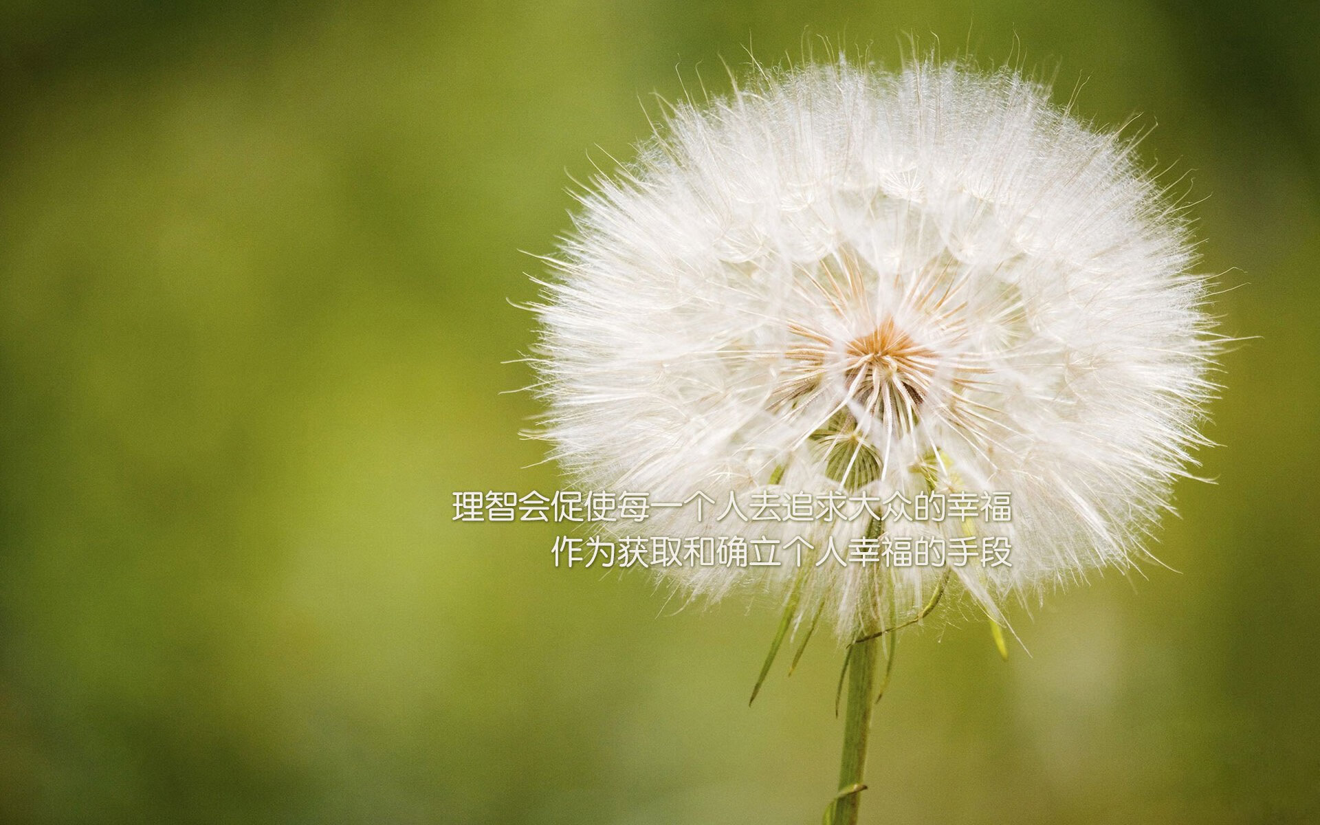 爱游戏下载-三色火焰，当北欧寒流刺穿格子堡垒，南欧烈焰焚尽战术边疆