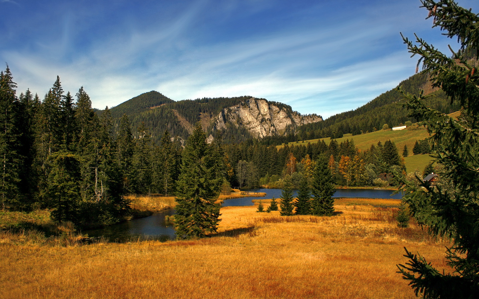 唯一性的交响，步行者绝杀黄蜂与东契奇在F1赛道的篮球统治