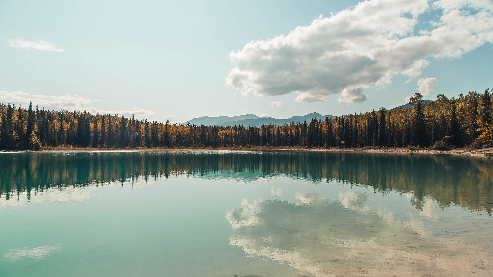 末节圣剑，欧文撕裂的不仅是防线，更是独行侠的命运桎梏