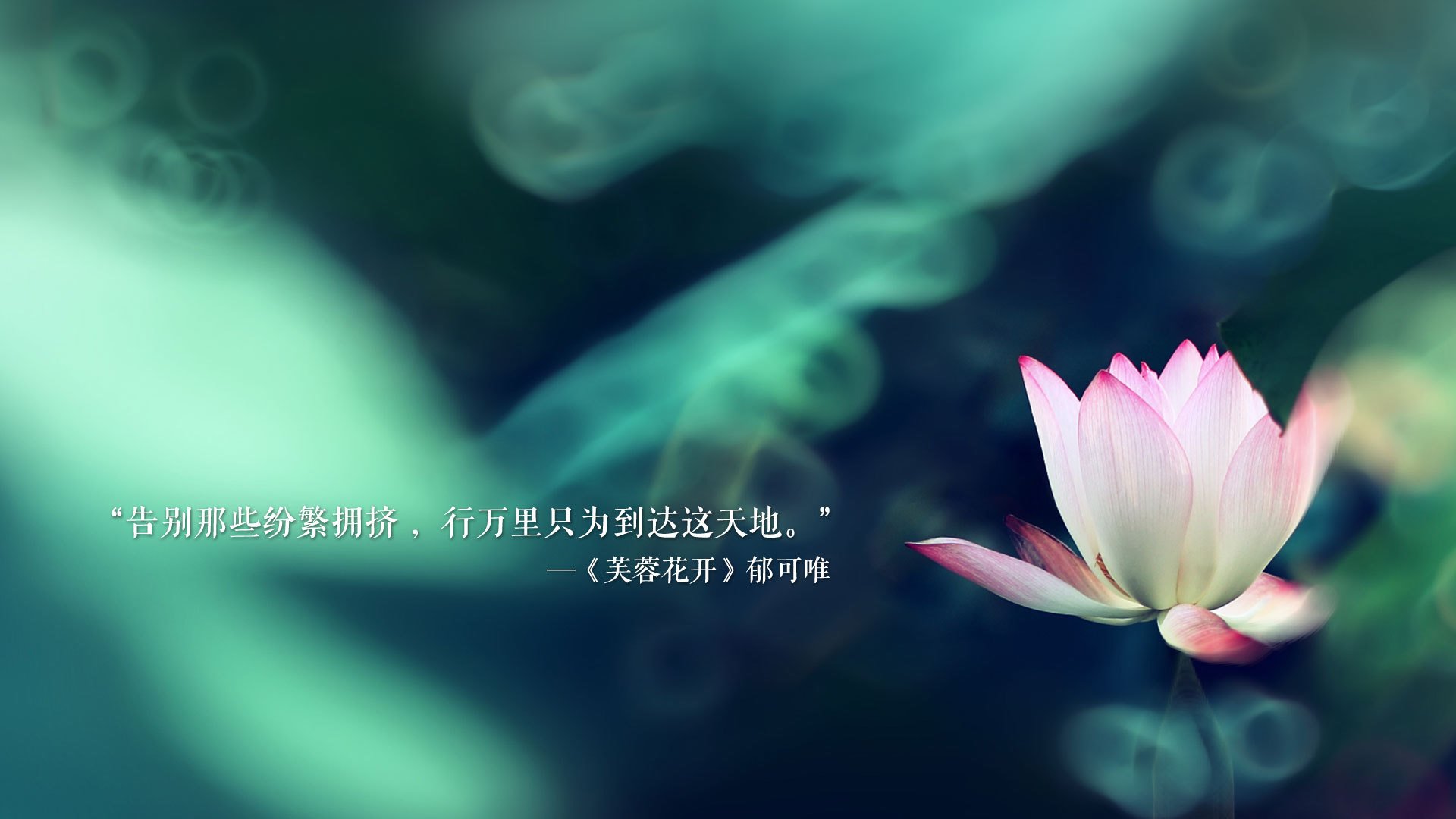 卡塔尔的黄昏,梅西的最后一道光—2026世界杯B组生死战,喀麦隆之血染红厄瓜多尔,梅西完成致命一击