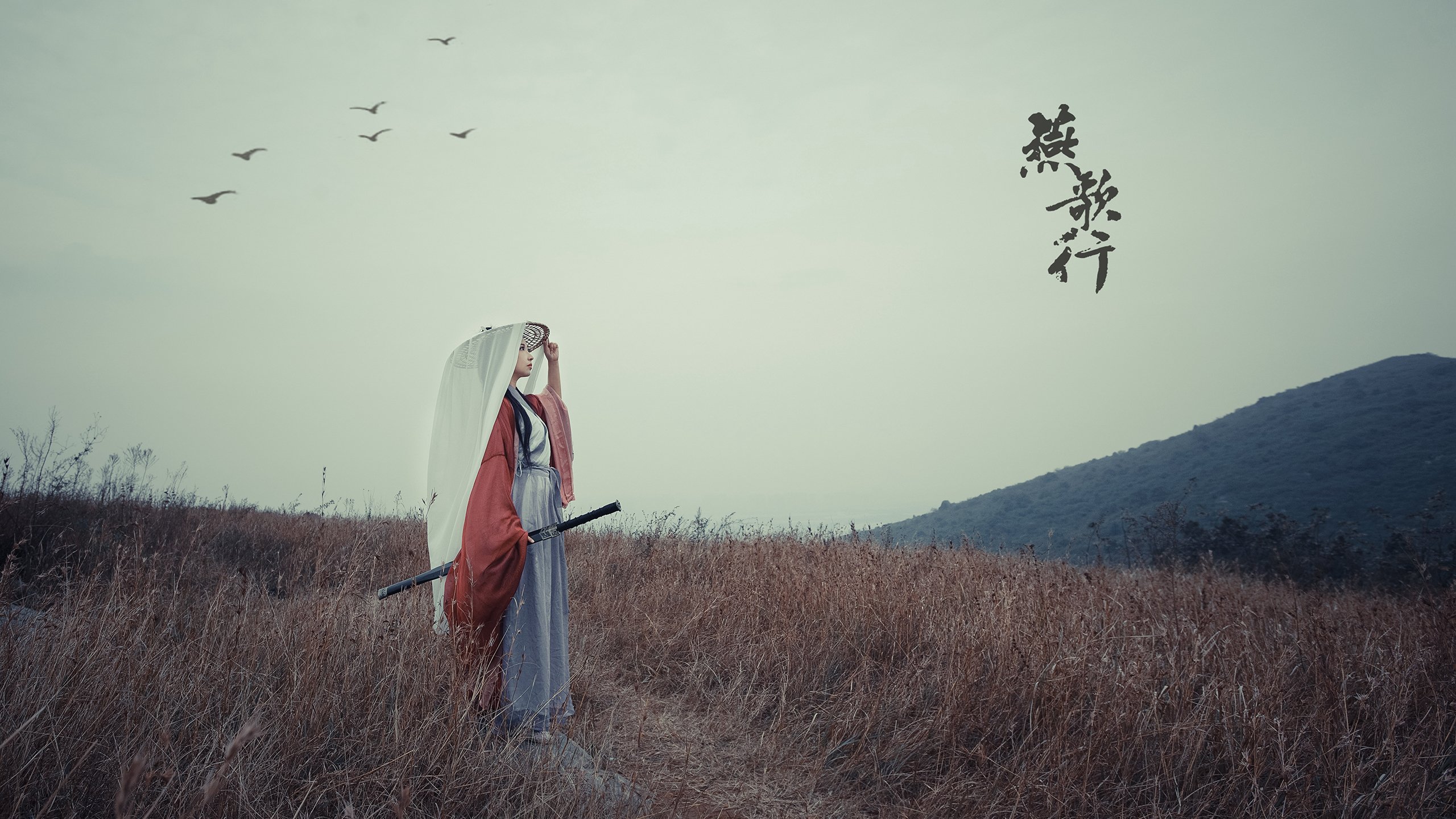 布罗佐维奇烈焰燃遍全场,葡萄牙碾压罗马尼亚宣告D组霸权