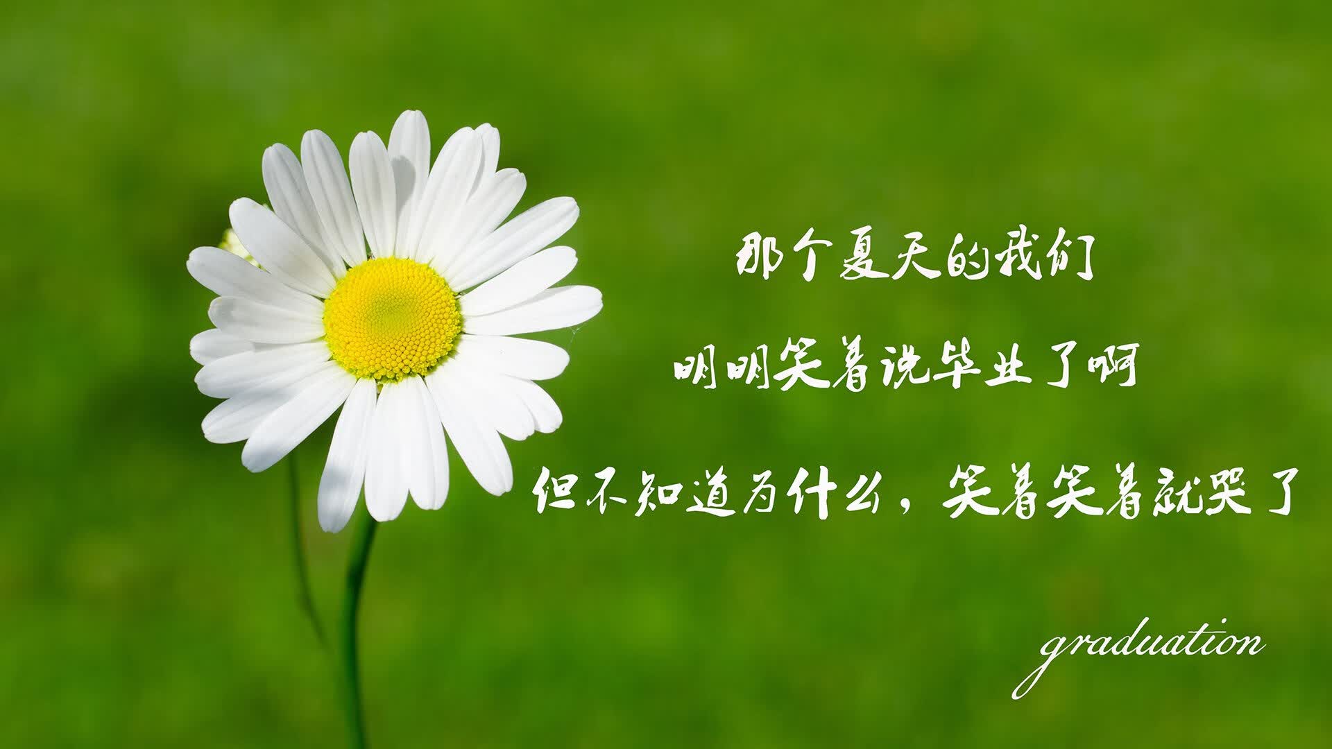 宿命的弧线，2026，当吉鲁的左脚重写丹麦童话